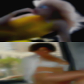 Swinging wives online